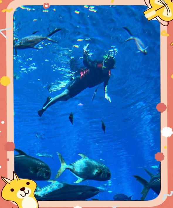 海洋深潜探索赛,深海奇遇之旅 海洋深潜探索赛,深海奇遇之旅