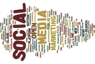 kaiyun官方网站-新加坡队赛制解析：如何借助赛制优化提高整体协作，新加坡邀请赛赛程